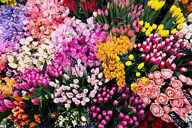 类Rogue清版动作游戏《绝对魔权》首周销量超20万份