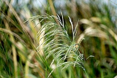 《红色沙漠》跳票到2026年第一季度 仍参加科隆游戏展